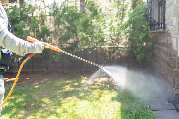 Best Residential Pest Control  in Casa Blanca, AZ